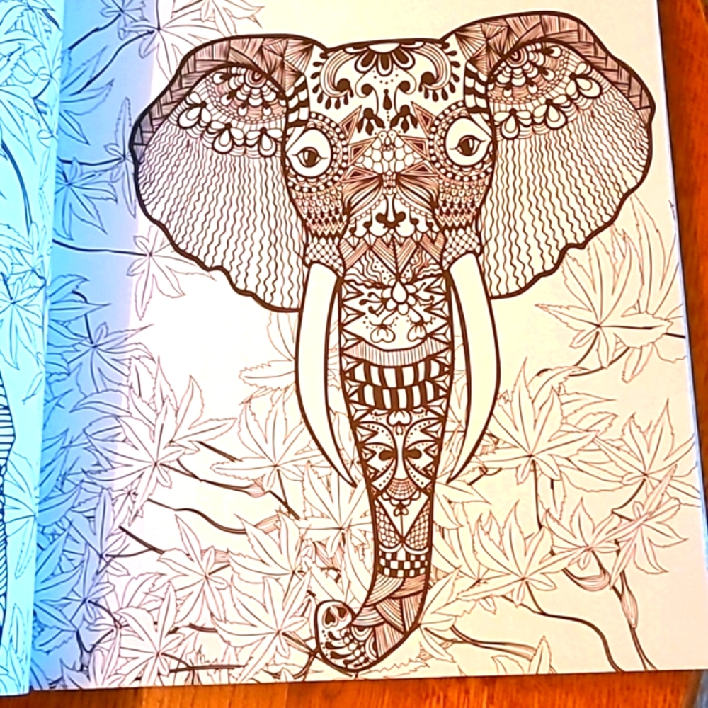 Coloring for Creativity Book - Picture 2 of 3